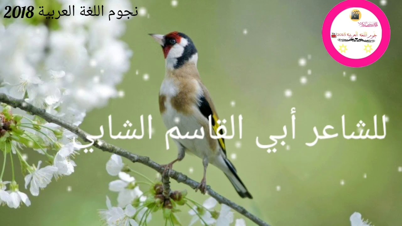 شرح قصيدة مناجاة طائر للصف التاسع