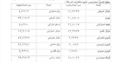 سعر الدولار الجمركي