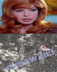 ناهد شريف كيف ماتت .. حقيقة سبب وفاتها وتفاصيل عن حياتها ناهد شريف كيف ماتت .. حقيقة سبب وفاتها وتفاصيل عن حياتها