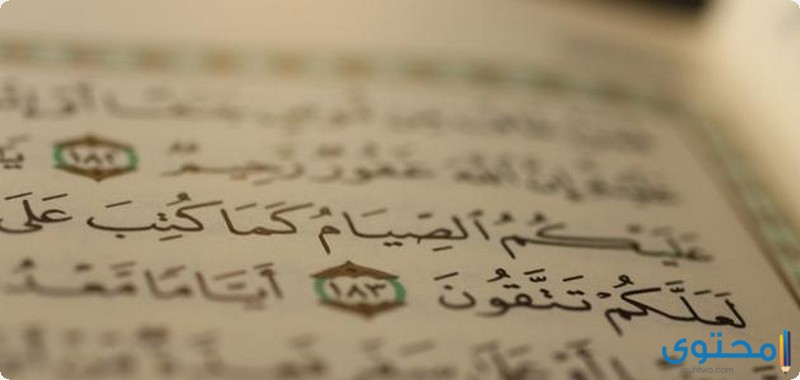 فضل العبادة في رمضان