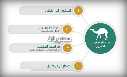 مدخلات ترقيم الإبل