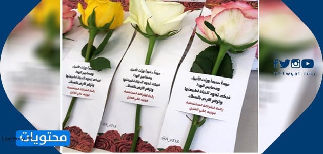 بطاقات يوم المعلم .. أجمل بطاقات تهنئة للمعلمين والمعلمات.