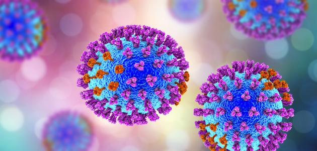 ما هي أنواع الفيروسات - الخطوط