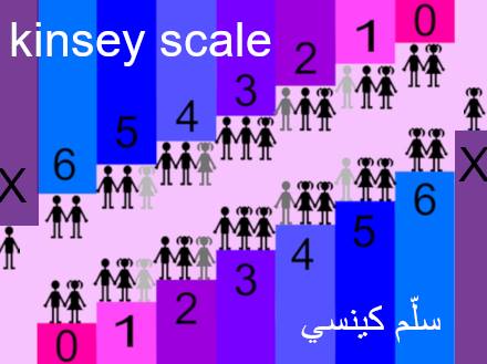 وصف الصورة غير متوفر.