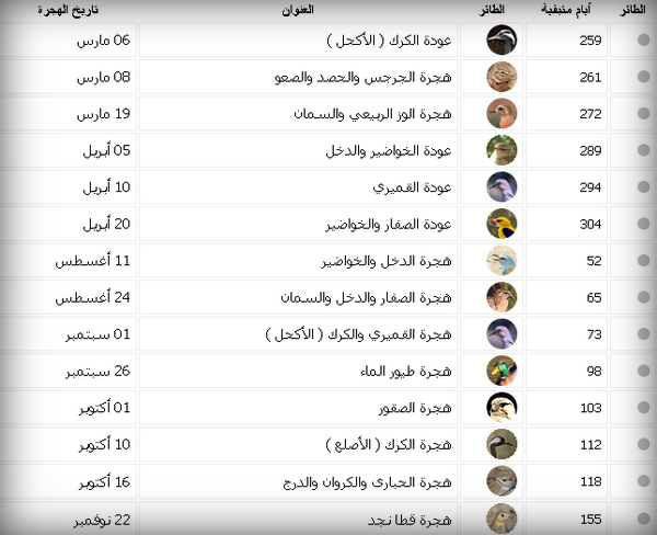 برنامج هجرة الطيور في المملكة العربية السعودية 1442