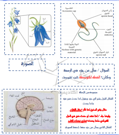 مجموعات قابلة للتحصيل 1442