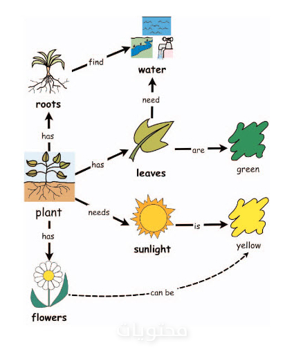 خريطة مفهوم فارغة