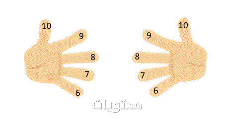 جداول الضرب كاملة من 1 إلى 12 باللغة العربية جاهزة للطباعة
