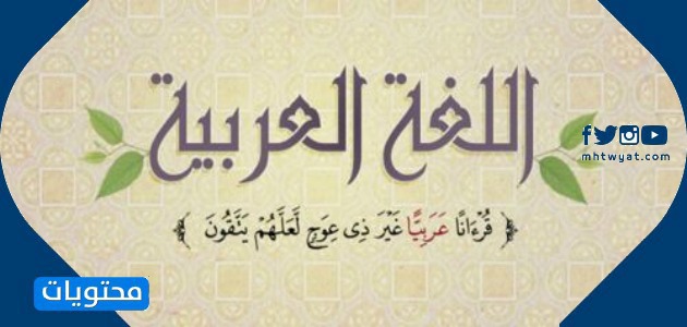 صور اليوم باللغة العربية