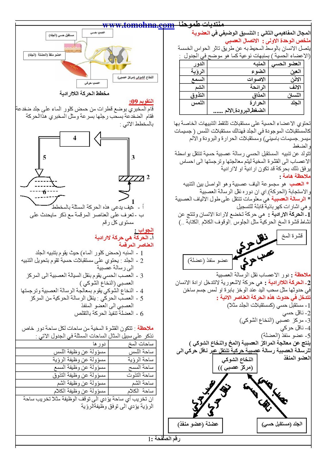 تحضير مسابقة اساتذة الابتدائي 2021 دروس الانسان و الصحة