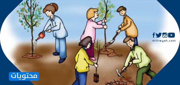 عبارات عن البيئة بأسلوب أدبي مميز