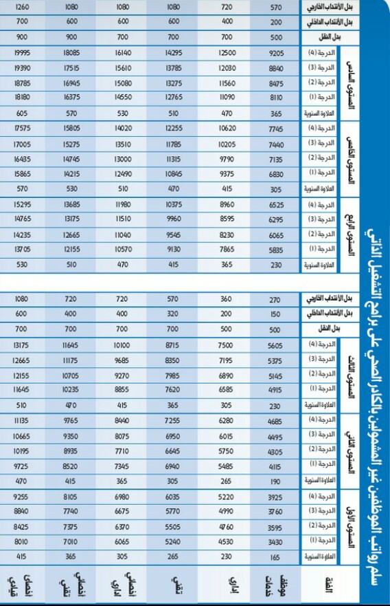 جدول رواتب العاملين لحسابهم الخاص