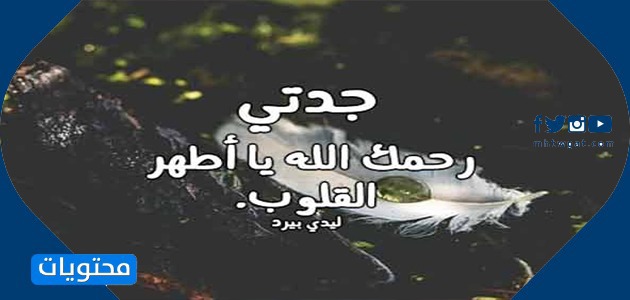 صور جدة