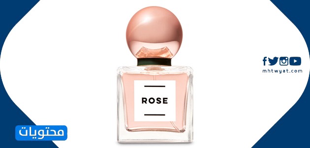 بخاخات الاستحمام والجسم