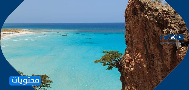 مناظر اليمن