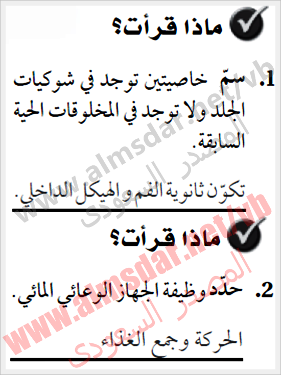 شوكيات الجلد واللافقاريات الحبلية أساسيات