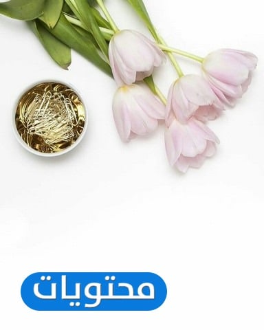 تصاميم بطاقات جاهزة للكتابة