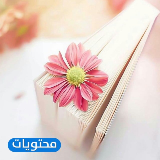 تصاميم بطاقات جاهزة للكتابة