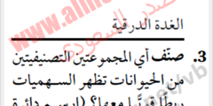 صنّف أي المجموعتين التصنيفيتين من الحيوانات تظهر السهميات ربطًا قويًّا معها؟ (ارسم دائرة حول الإجابة الصحيحة).