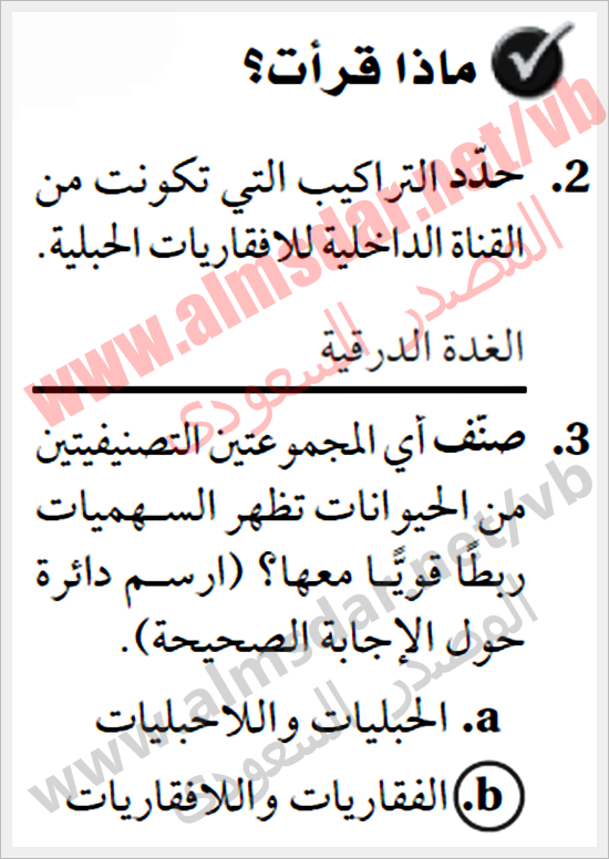 شوكيات الجلد واللافقاريات الحبلية أساسيات