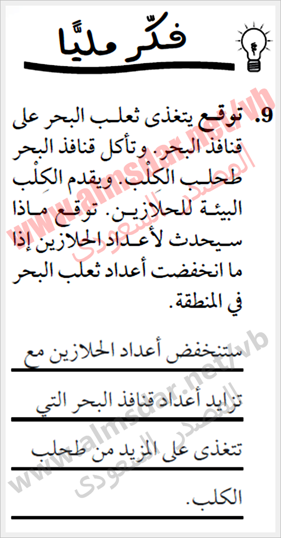 شوكيات الجلد واللافقاريات الحبلية أساسيات شوكيات الجلد واللافقاريات الحبلية أساسيات