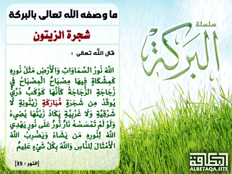 ما يصفه الله تعالى بالنعمة - طلب بطاقة موقع شجرة الزيتون