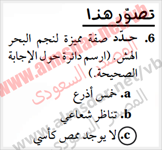 شوكيات الجلد واللافقاريات الحبلية أساسيات