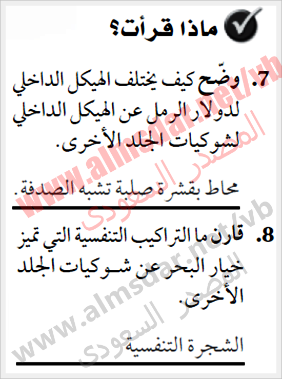 شوكيات الجلد واللافقاريات الحبلية أساسيات