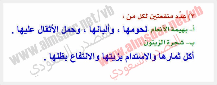 تدريبات تفسير سورة المؤمنون الآية