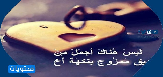 اقتباسات رائعة عن الصداقة 