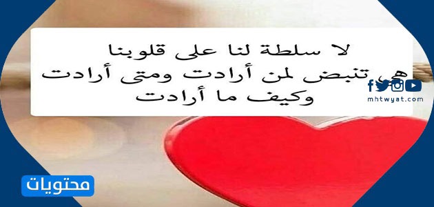 كلمات حلوة عن الحب