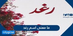 ما معنى اسم رغد والصفات الشخصية لحاملة الاسم