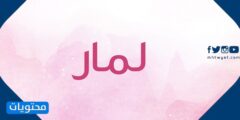 ما معنى اسم لمار وصفات حاملة الاسم