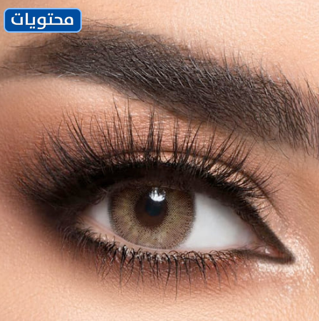 أفضل عدسات ملونة لي