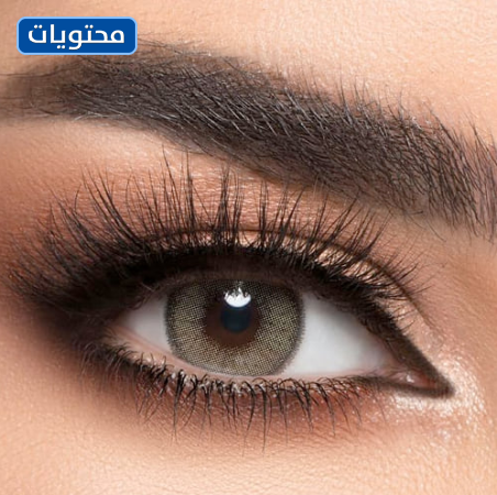 أفضل عدسات ملونة لي