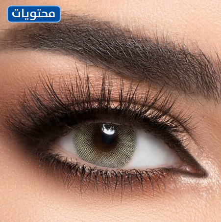 أفضل عدسات ملونة لي