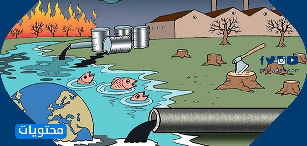 بحث عن الانظمة البيئية المائية