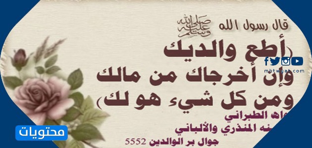 حديث إلجي عن الأم 1
