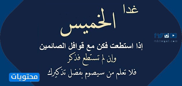 صور الجمل يوم الخميس