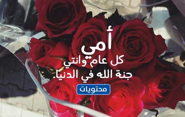 صور تتحدث عن عيد الأم 3