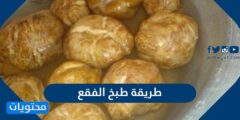 طريقة طبخ الفقع بأكثر من طريقة بسيطة وسريعة