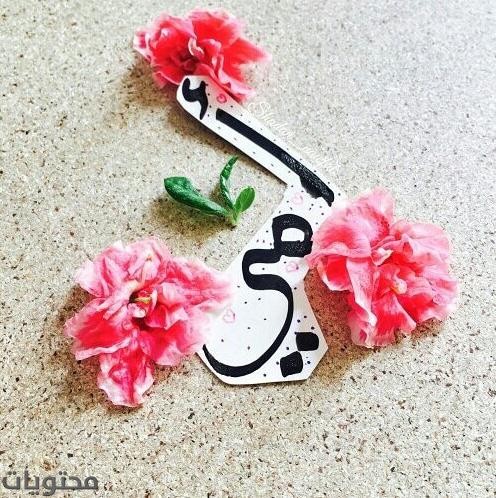 اجمل صور الام فيس بوك 3