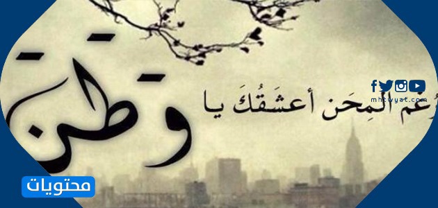 صور وطنية 