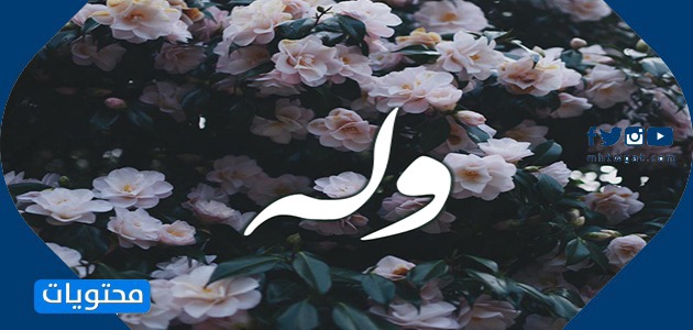 معنى اسمك