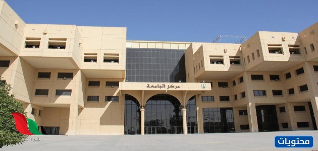 Küresel sıralamaya göre 2021 yılı için en iyi Arap üniversiteleri