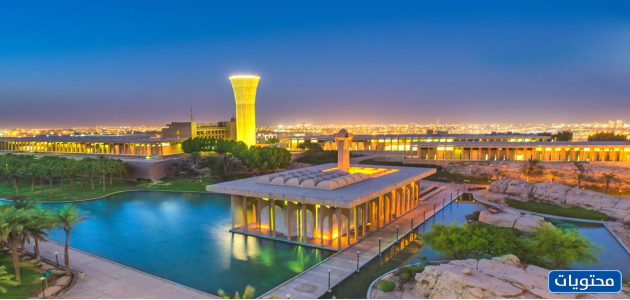 Küresel sıralamaya göre 2021 yılı için en iyi Arap üniversiteleri