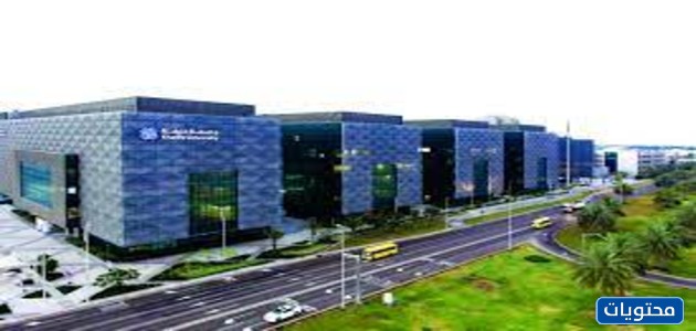 Khalifa Bilim ve Teknoloji Üniversitesi