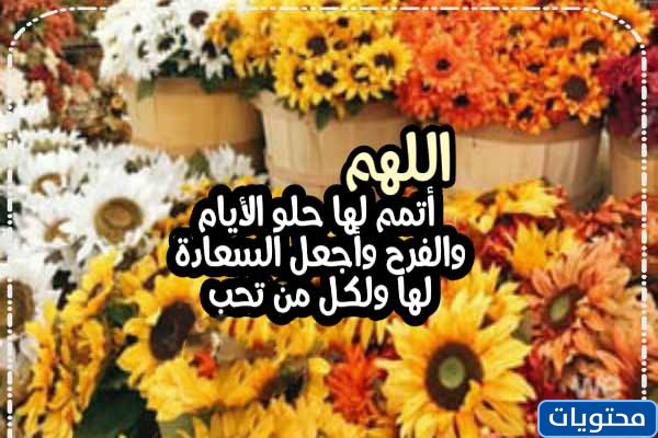 Kız arkadaşımın düğünü için tebrikler