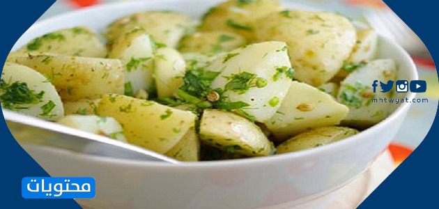 سلطات سهلة وخفيفة بالصور