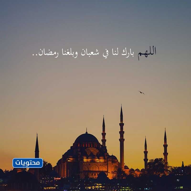 في صباح الثلاثين من شهر شعبان